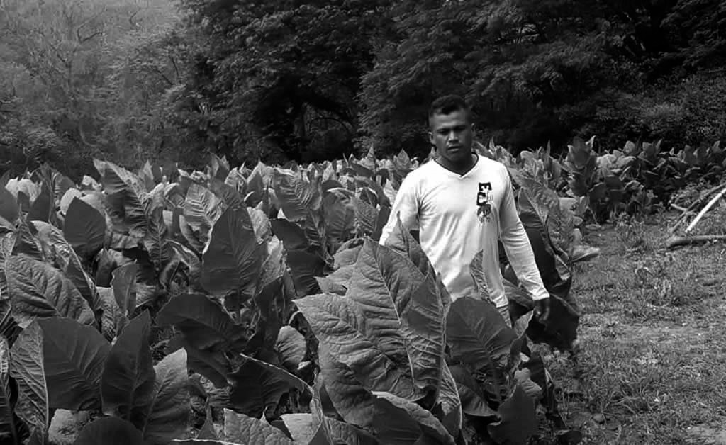 Fuente: https://vivanicaragua.com.ni