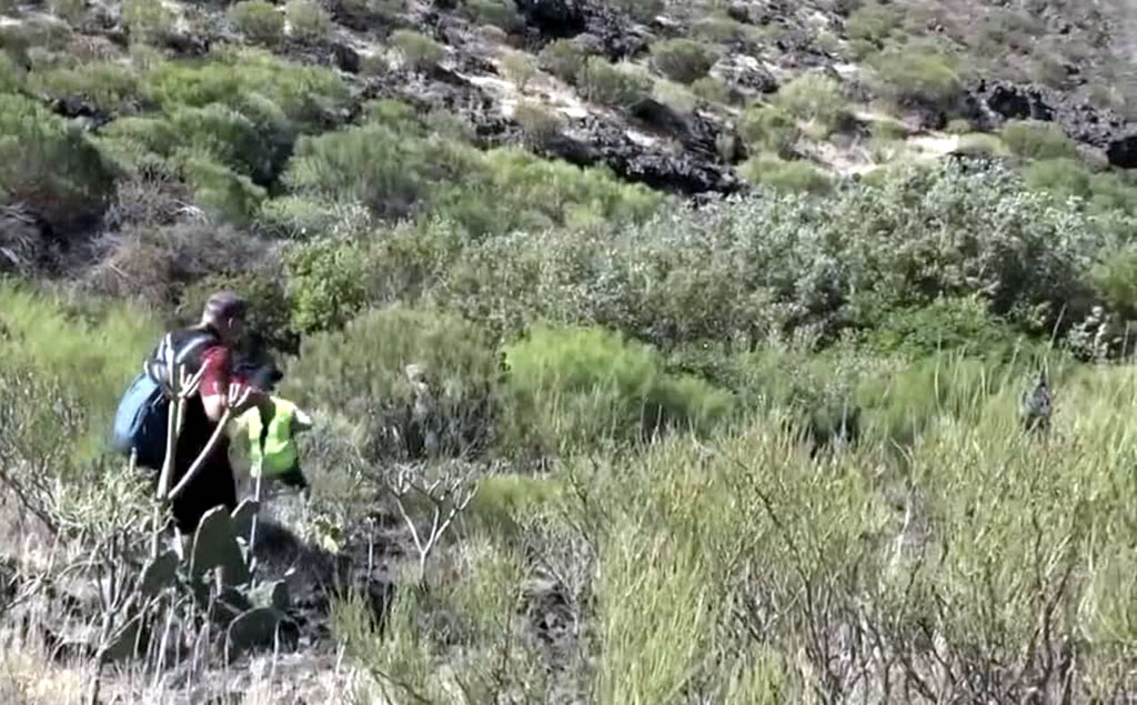 En los trabajos de recuperación del cadáver han participado guardias civiles pertenecientes al Grupo de Rescate e Intervención en Montaña (GREIM).