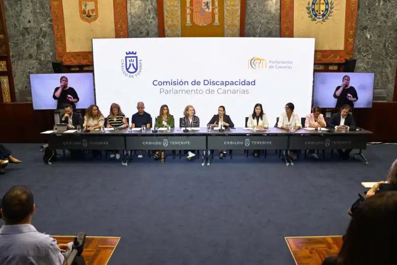 El Cabildo reafirma su compromiso con la inclusión durante la reunión ...